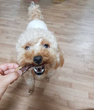 B님이 올린 리뷰 사진 3