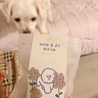 Underwater님이 올린 리뷰 사진 4