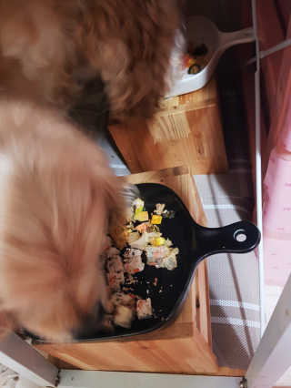 콜보리님이 올린 리뷰 사진 3