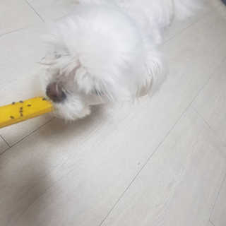 이다솜님이 올린 리뷰 사진 1