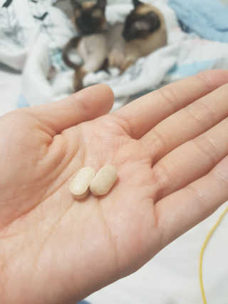 유님0527님이 올린 리뷰 사진 3