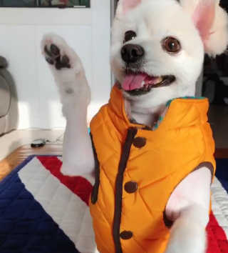 뿌꾸뿌꾸뿌님이 올린 리뷰 사진 1