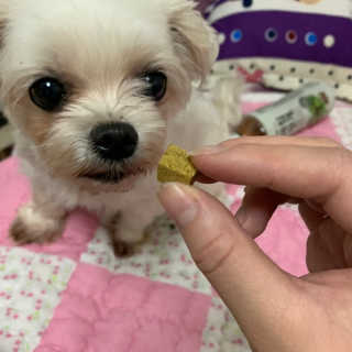 잠보아 뉴트리페어 굿바이 티어스테인 — 5점을 준 리뷰어가 2019년 10월 올린 사용 사진