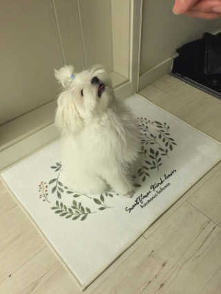 JinwooChoi님이 올린 리뷰 사진 1