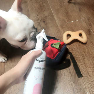 불독키우는개엄마❤️님이 올린 리뷰 사진 2