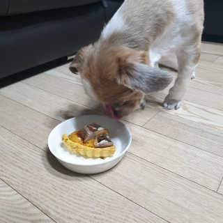 기룡이님이 올린 리뷰 사진 1