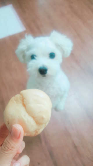 지영님이 올린 리뷰 사진 2