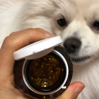 찌이인님이 올린 리뷰 사진 3