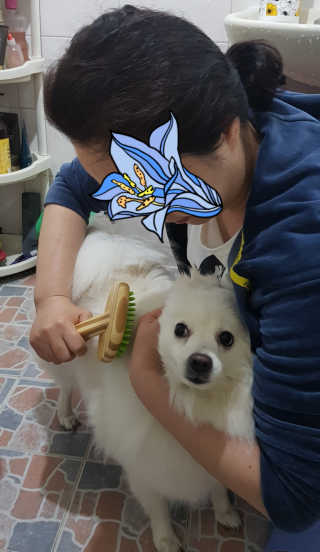 유혜연님이 올린 리뷰 사진 1