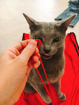 하루맘님이 올린 리뷰 사진 4
