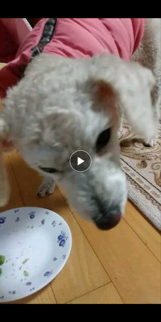 이린님이 올린 리뷰 사진 3