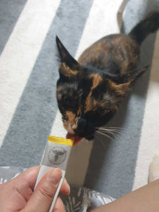 아리네님이 올린 리뷰 사진 3