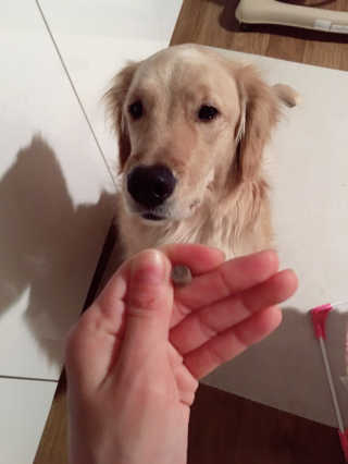 pang2님이 올린 리뷰 사진 1