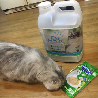 hyoju098님이 올린 리뷰 사진 2