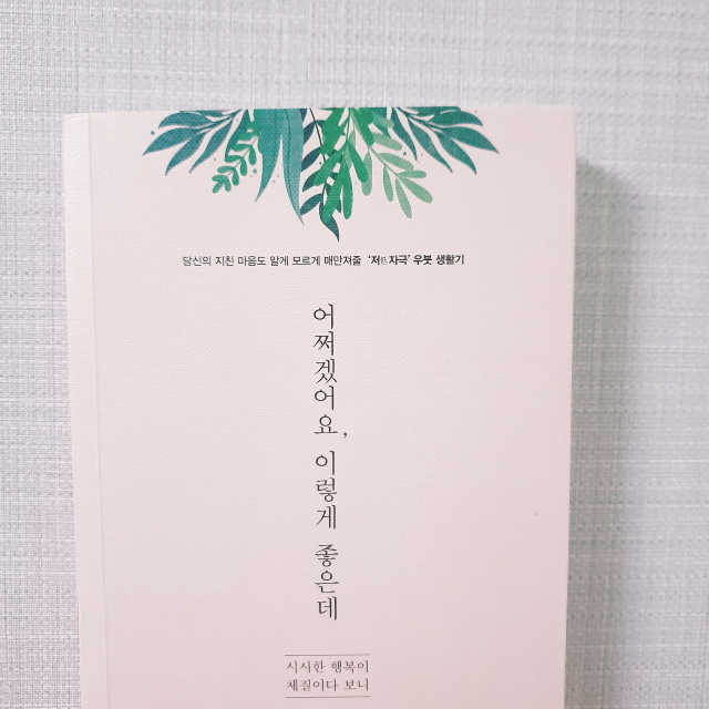 어쩌겠어요, 이렇게 좋은데 리뷰 사진