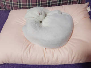 좋아님이 올린 리뷰 사진 4