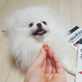 주주님이 올린 리뷰 사진 3