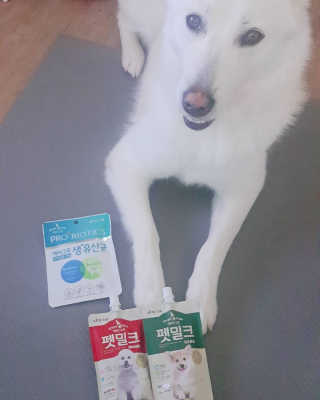 [빙그레] 에버그로 생유산균 1봉（10포입）+펫밀크2팩 — 5점을 준 리뷰어가 2019년 5월 올린 사용 사진