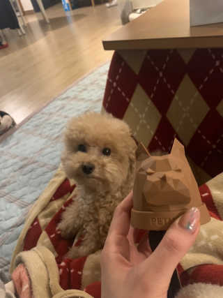 check2님이 올린 리뷰 사진 1