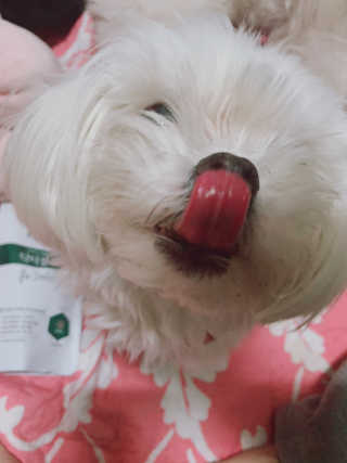 새초미님이 올린 리뷰 사진 1