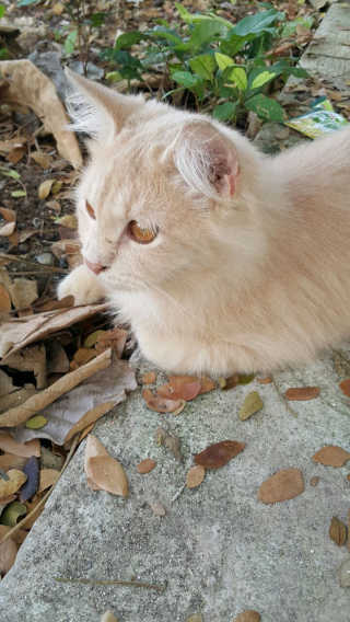 clarissa님이 올린 리뷰 사진 4