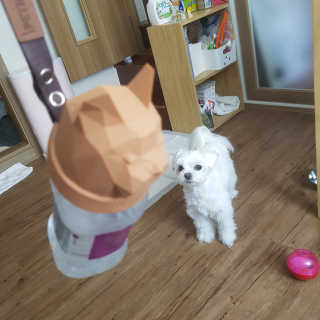 뽀오오옹님이 올린 리뷰 사진 4