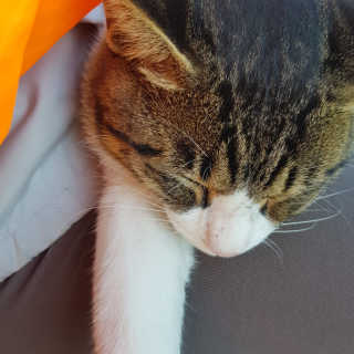 젤리꼬꼬님이 올린 리뷰 사진 3