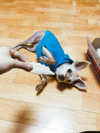 손하늘님이 올린 리뷰 사진 1