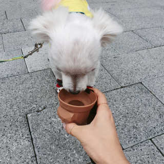 미민님이 올린 리뷰 사진 2
