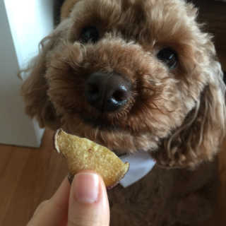 은치치님이 올린 리뷰 사진 1