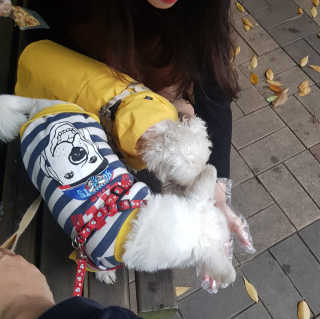 Ryaani.Kang님이 올린 리뷰 사진 4