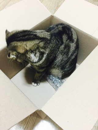민댕님이 올린 리뷰 사진 2