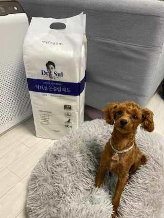 칸쵸님이 올린 리뷰 사진 4