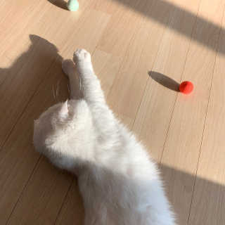 꺼억님이 올린 리뷰 사진 3