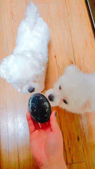 콩님이 올린 리뷰 사진 4