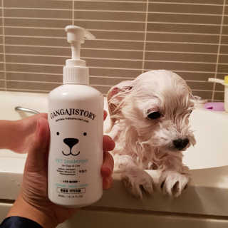 이수진님이 올린 리뷰 사진 2
