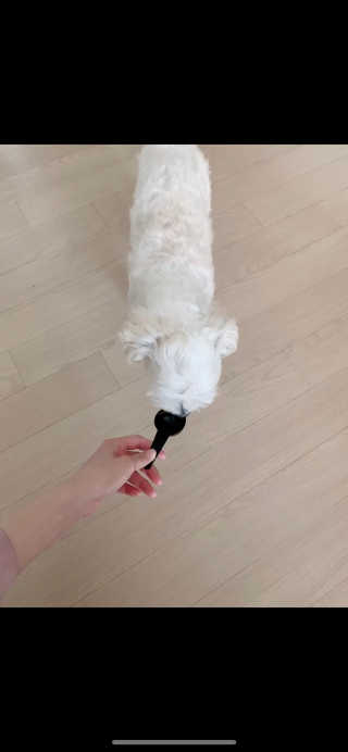 기언니님이 올린 리뷰 사진 4