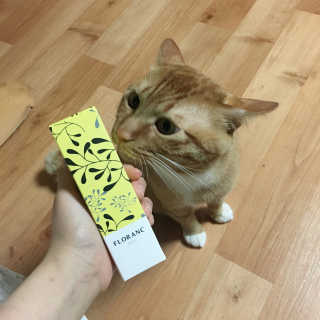 쮜님이 올린 리뷰 사진 1