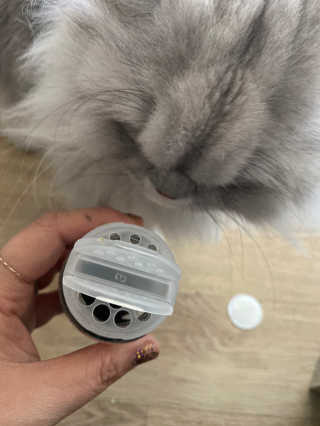 럽S하3님이 올린 리뷰 사진 1