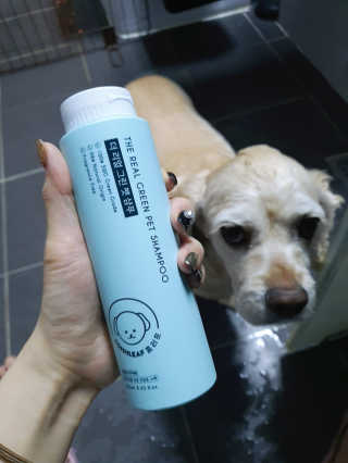 Mini님이 올린 리뷰 사진 1