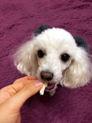 찡아님이 올린 리뷰 사진 3