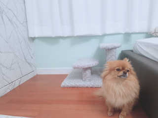 YulaKim님이 올린 리뷰 사진 2