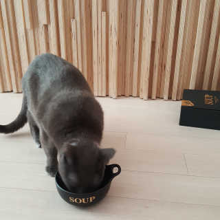 현진공주님이 올린 리뷰 사진 2