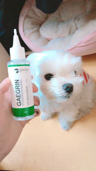 박은비님이 올린 리뷰 사진 2