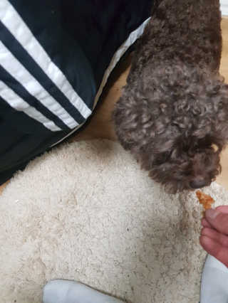 유세환님이 올린 리뷰 사진 1