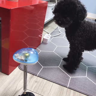 마카뇽님이 올린 리뷰 사진 3