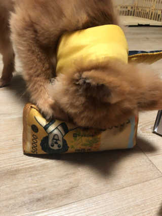 aevely님이 올린 리뷰 사진 4