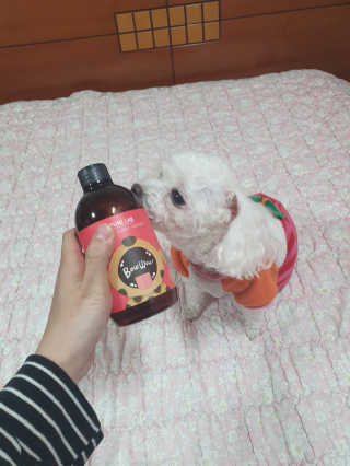 몽이언니님이 올린 리뷰 사진 2