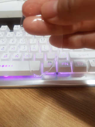 집사는임보중님이 올린 리뷰 사진 3