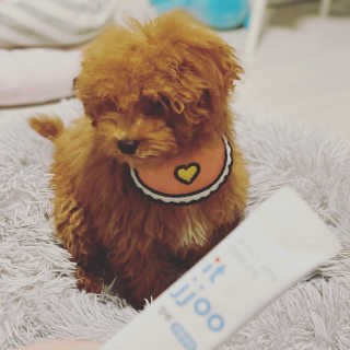 칸쵸님이 올린 리뷰 사진 3